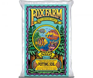 Ocean Forest Soil