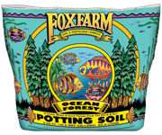 Ocean Forest Soil