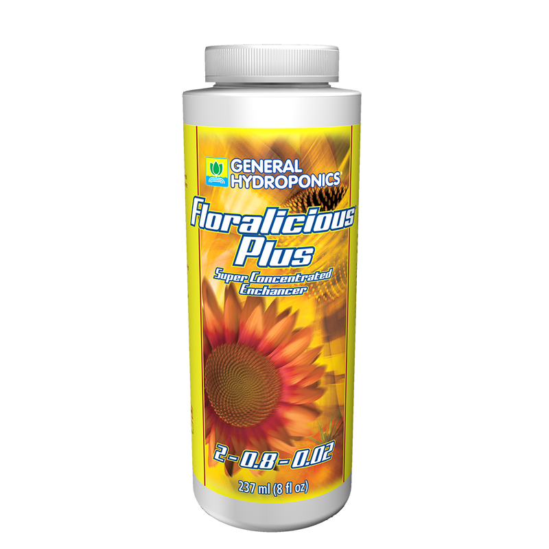 GH Floralicious Plus
