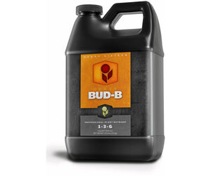 Heavy 16 Bud B