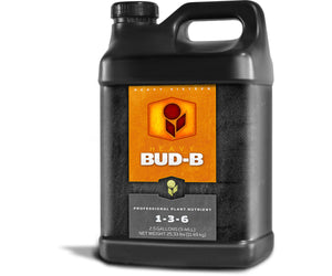 Heavy 16 Bud B