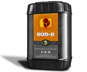 Heavy 16 Bud B