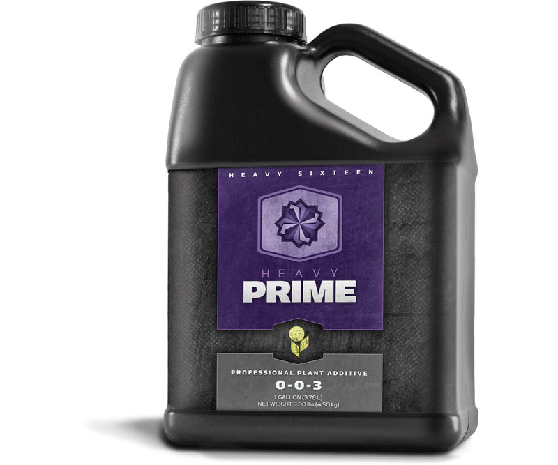 Heavy 16 Prime Concentrate