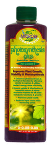 Photosynthesis Plus
