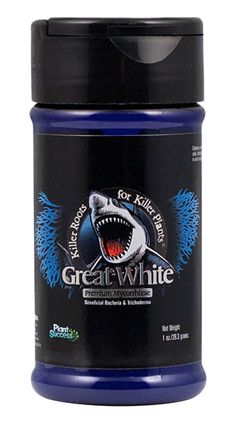 Great White Mycorrhizae