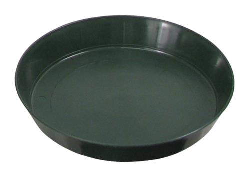Saucer Green