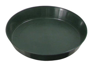 Saucer Green