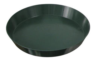 Saucer Green