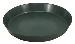 Saucer Green
