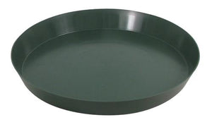 Saucer Green
