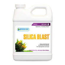 Load image into Gallery viewer, Botanicare Silica Blast
