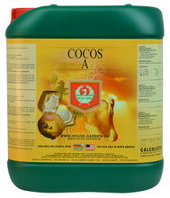 Load image into Gallery viewer, H&amp;G Cocos A
