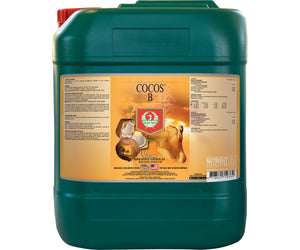 H&G Cocos B
