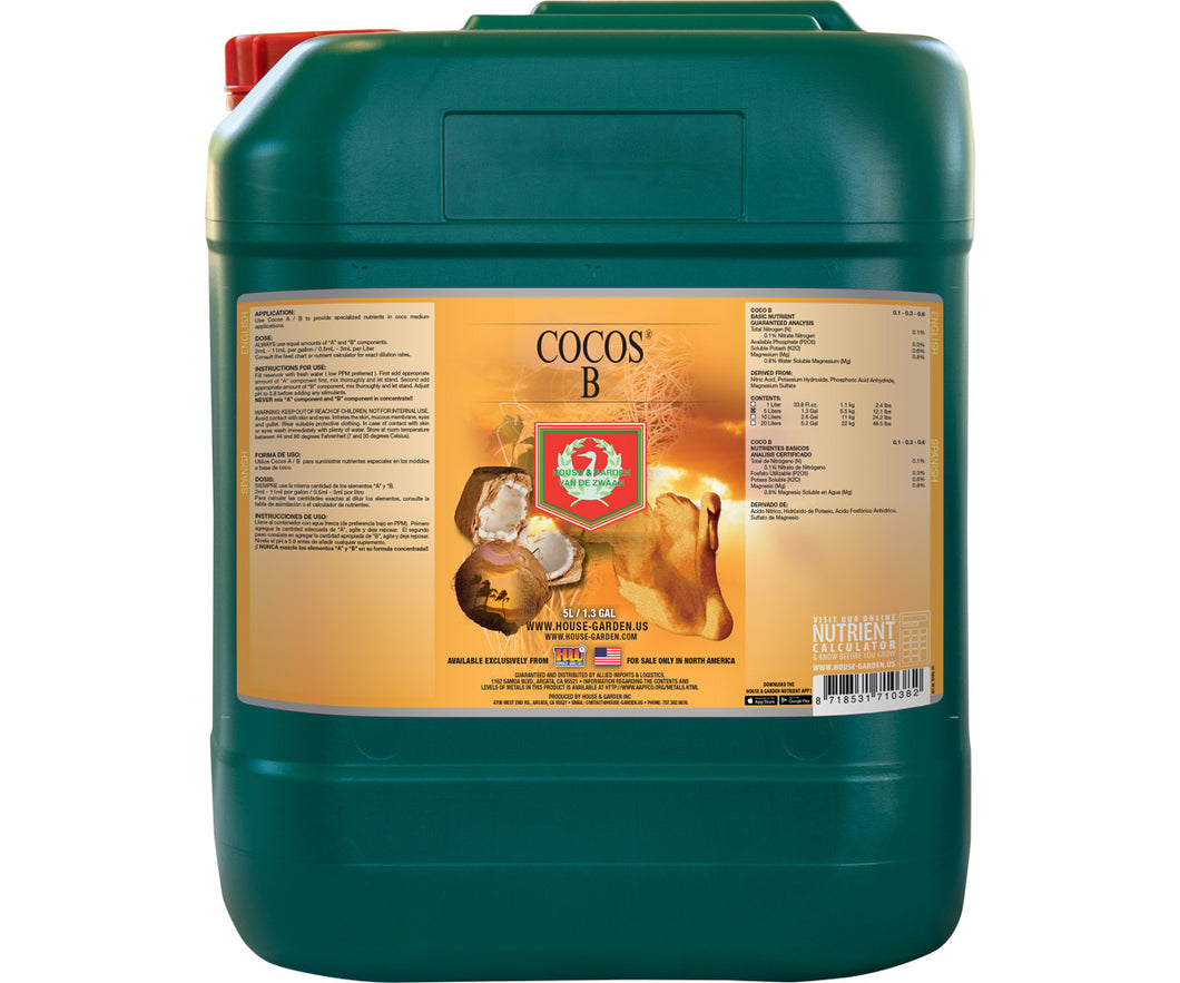 H&G Cocos B