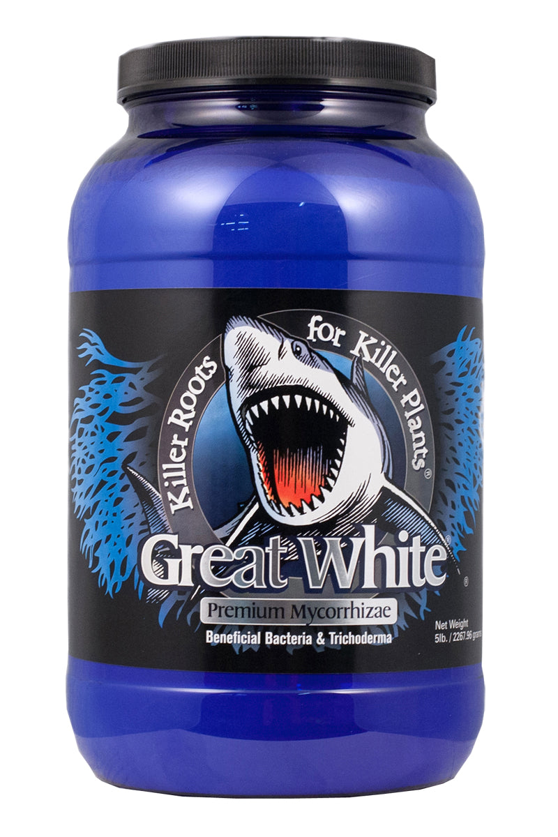 Great White Mycorrhizae