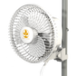 Monkey Fan