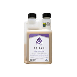 Tribus Bloom