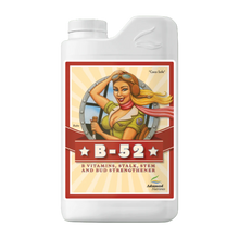 Load image into Gallery viewer, Advanced Nutrients B-52
