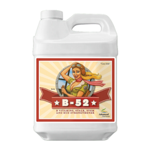 Load image into Gallery viewer, Advanced Nutrients B-52
