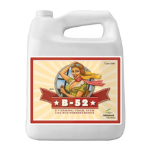 Load image into Gallery viewer, Advanced Nutrients B-52
