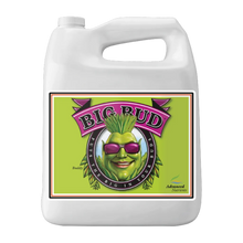 Load image into Gallery viewer, Advanced Nutrients Big Bud
