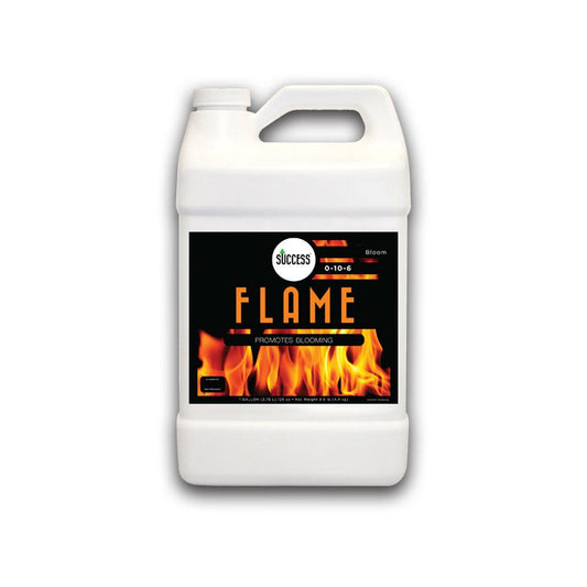 Flame