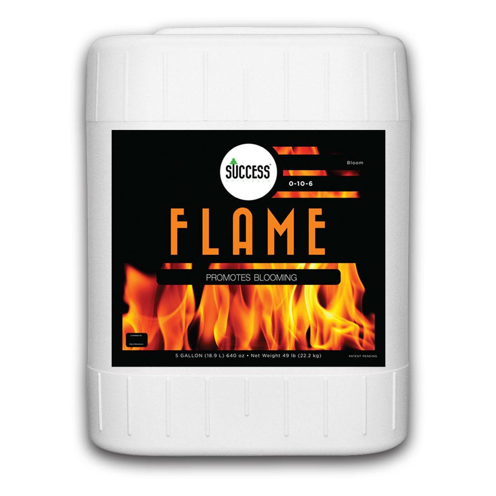 Flame