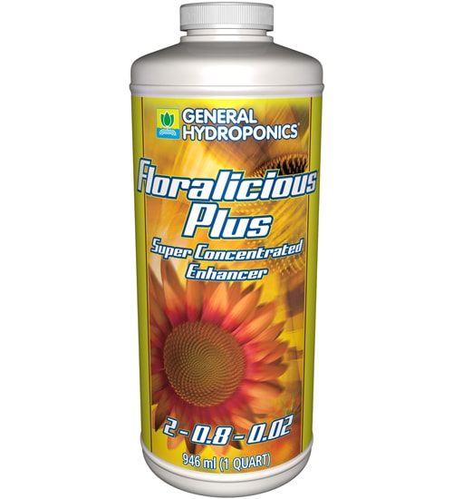 GH Floralicious Plus