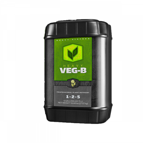 Heavy 16 Veg B