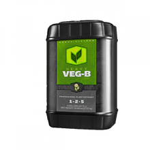 Load image into Gallery viewer, Heavy 16 Veg B
