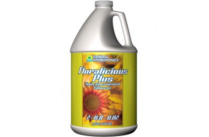 GH Floralicious Plus