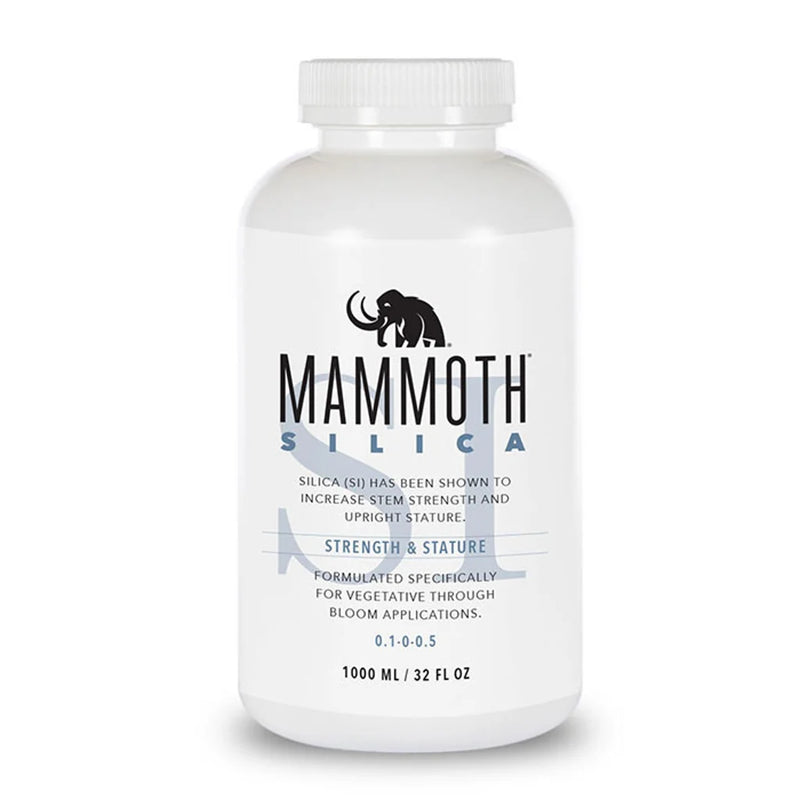Mammoth Silica