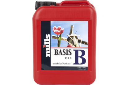 Mills Basis B