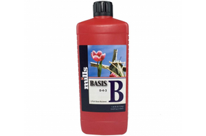 Mills Basis B