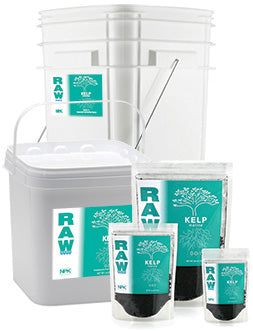 RAW Kelp