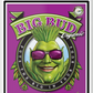 Advanced Nutrients Big Bud Organic