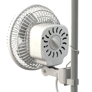 Monkey Fan