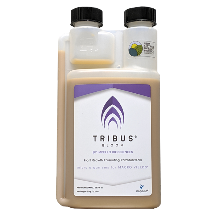 Tribus Bloom