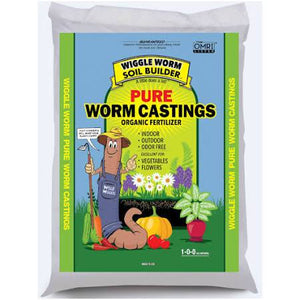 Wiggle Worm Casting